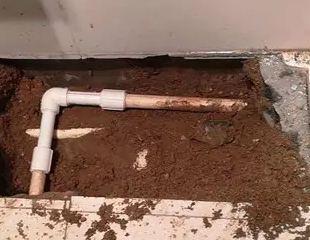 七台河测漏水哪家好