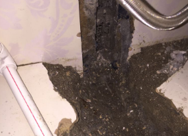 七台河卫生间测漏水哪家好