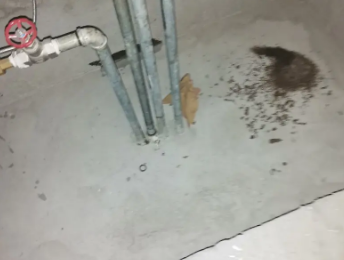 七台河卫生间测漏水价格明细